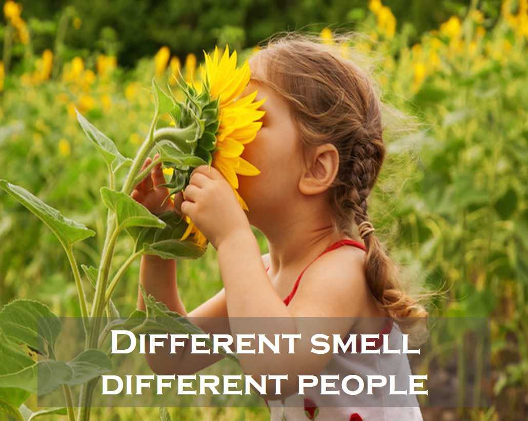 Class 2 Human Body - Fact