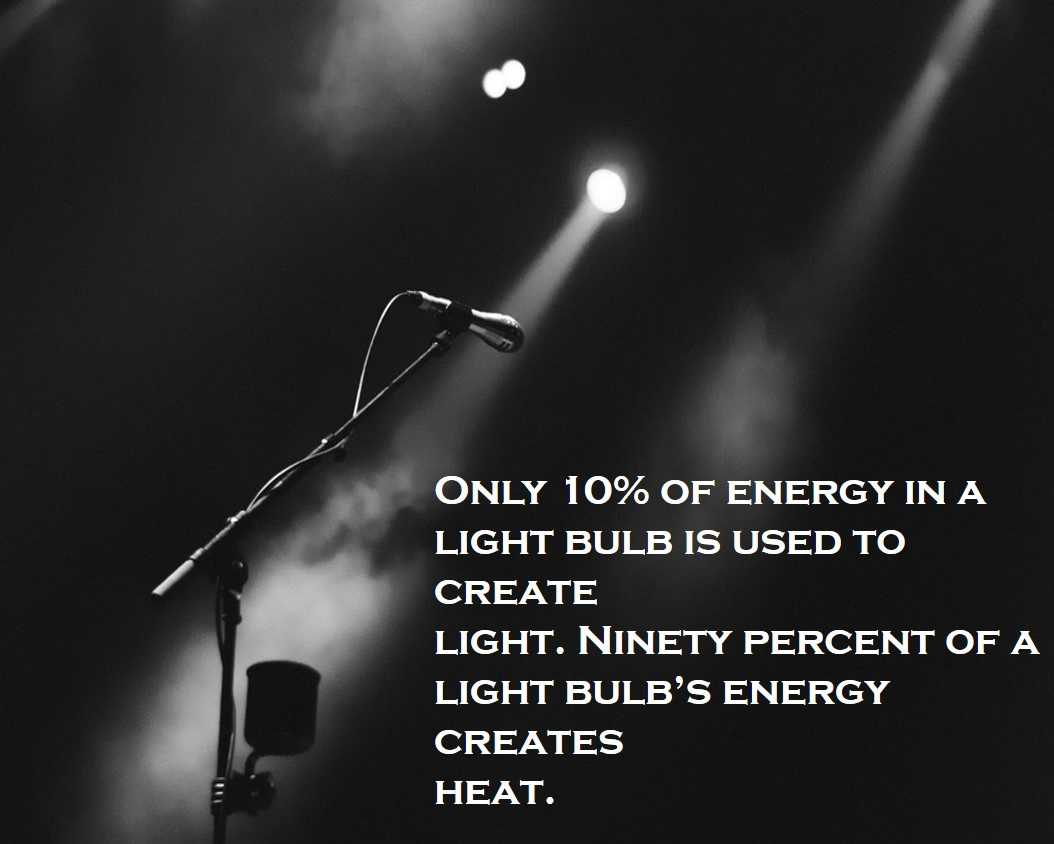 Class 3 Light, Sounds And Force - Fact