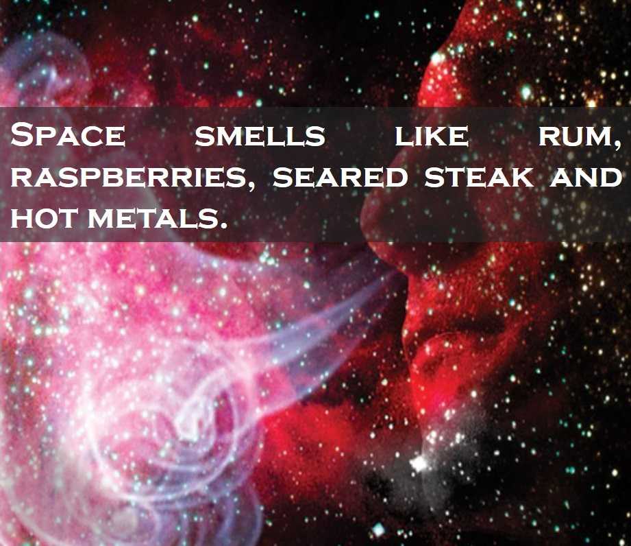 Class 4 Earth And Universe - Fact