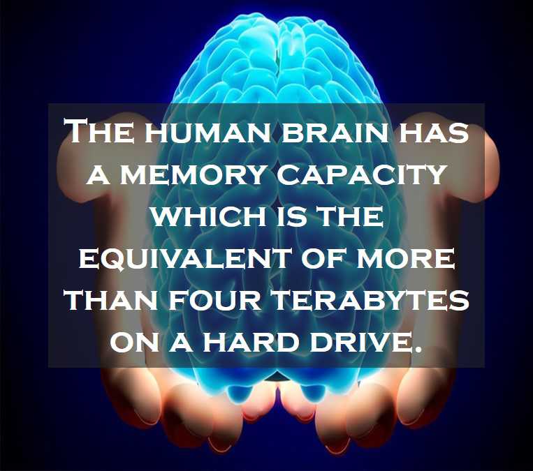 Class 4 Human Body And Health - Fact