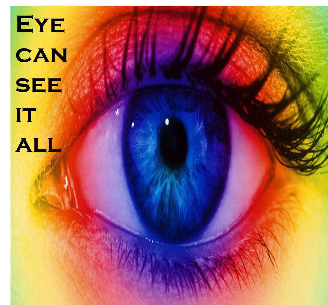 Class 5 Human Body & Health - Fact