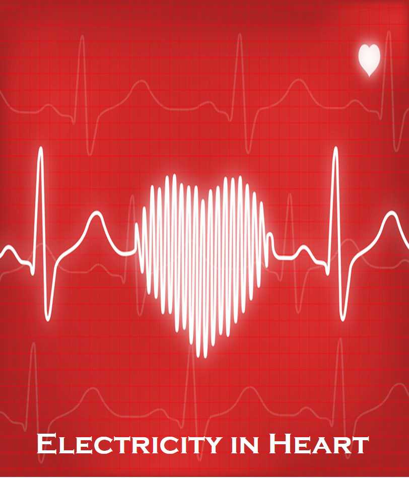 Class 6 Electricity And Circuits - Fact