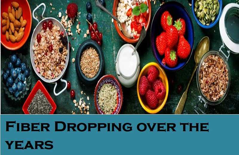 Class 6 Fibre To Fabric - Fact