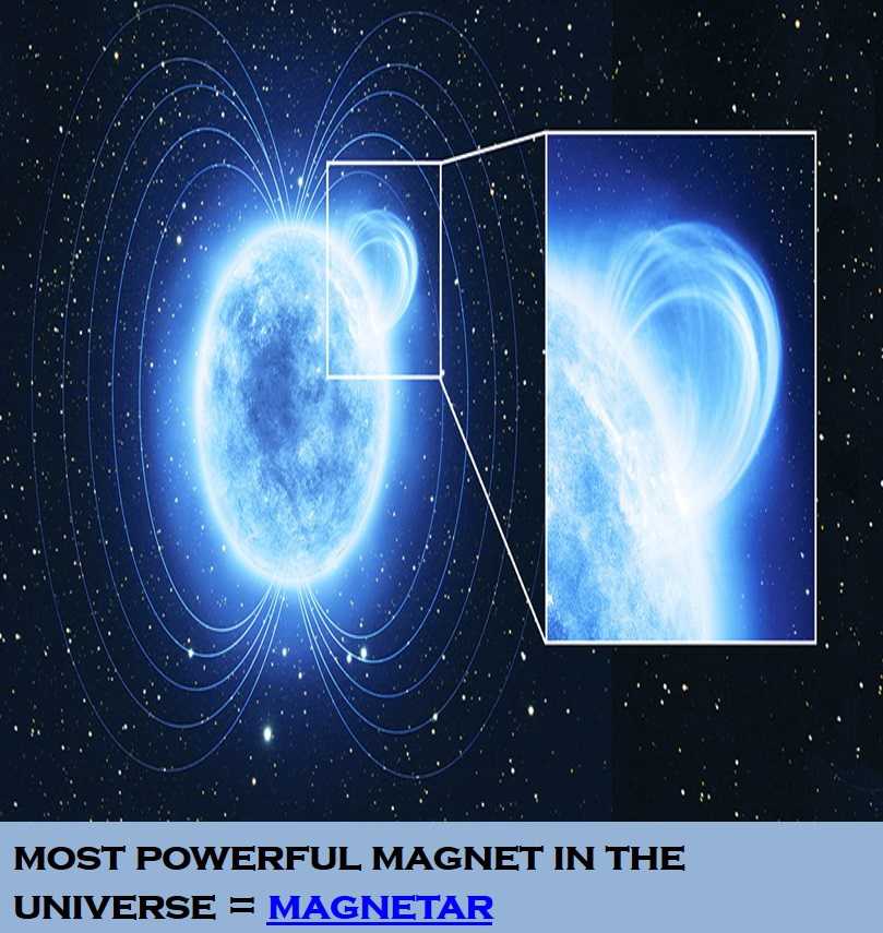 Class 6 Fun With Magnets - Fact