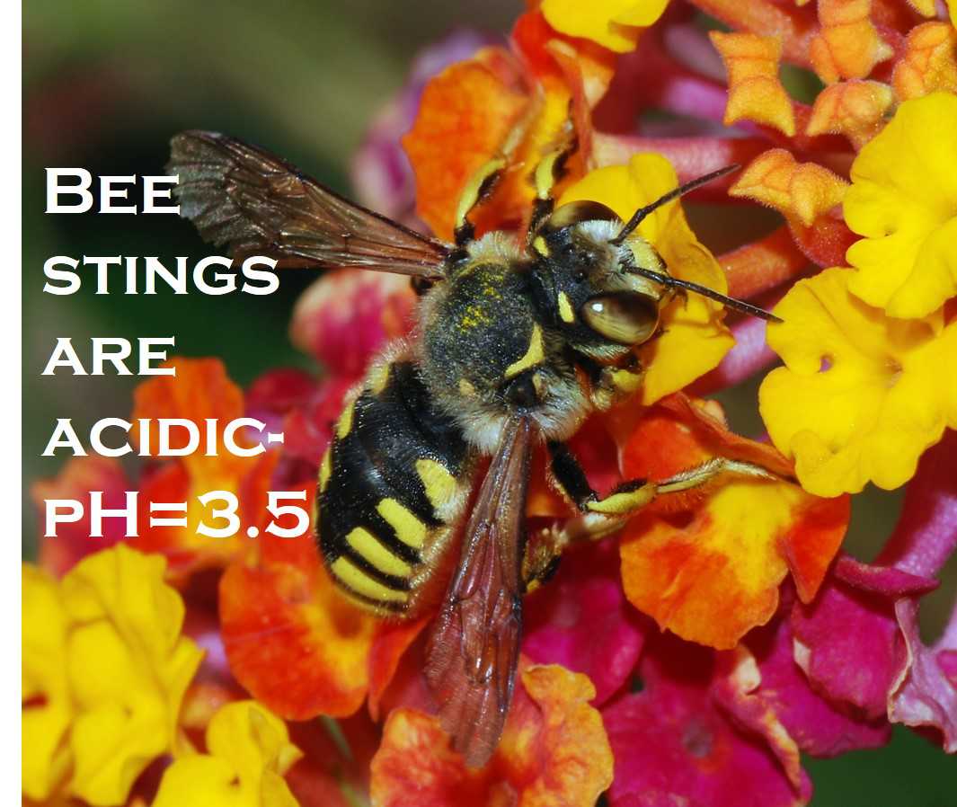 Class 7 Acids, Bases & Salts - Fact