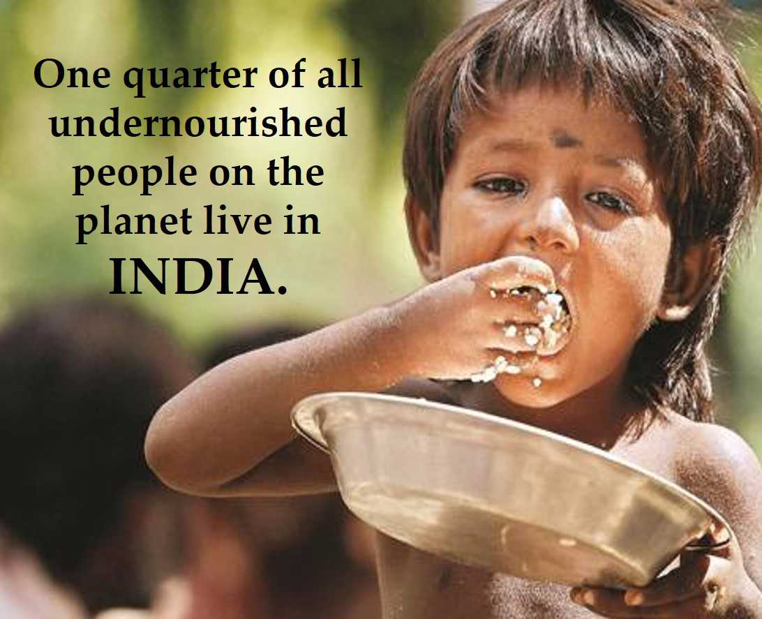 Class 7 Nutrition in Plants & Animals - Facts