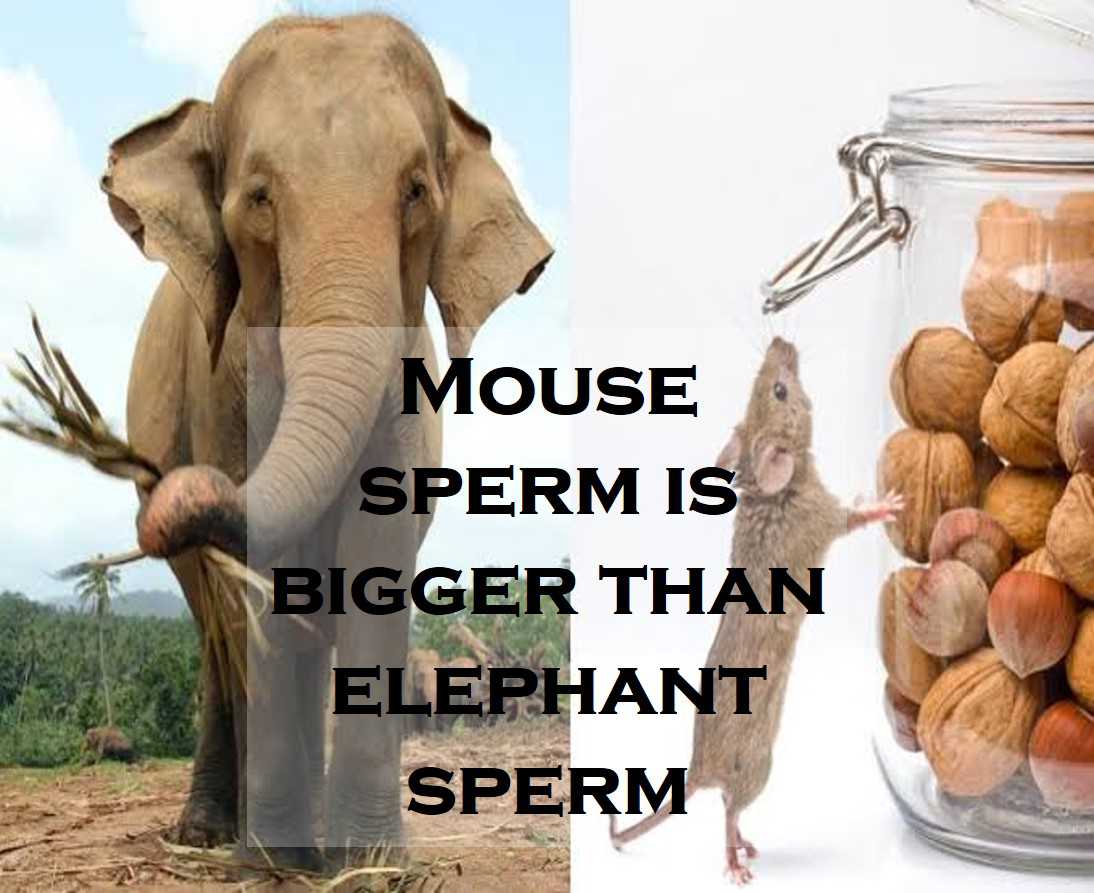 Class 8 Reproduction In Animals - Fact