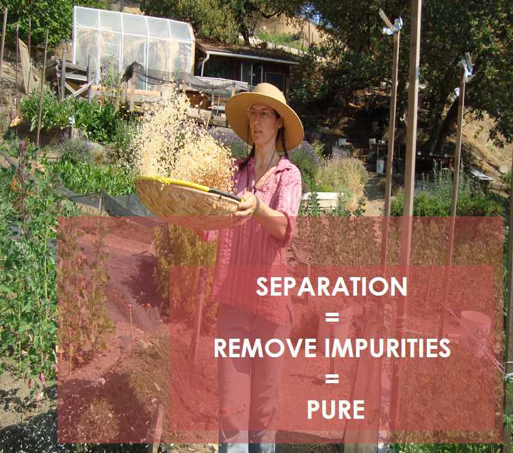 Class 9 Is Matter Around Us Pure - Fact