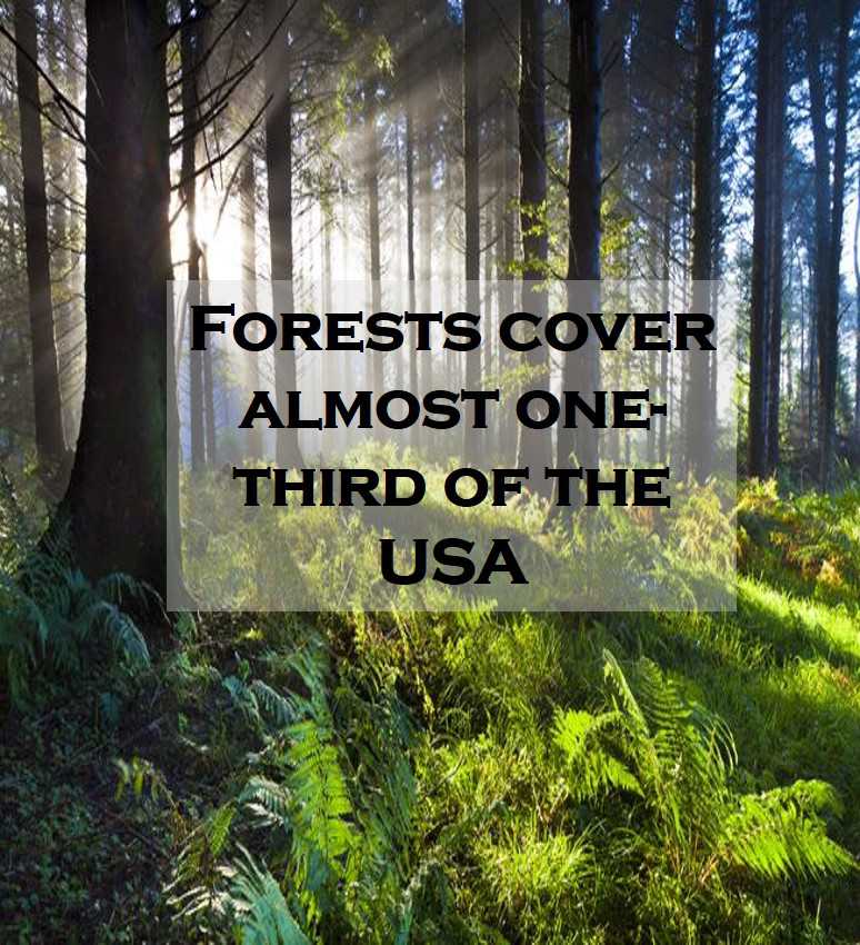 Class 9 Naturalresources - Fact