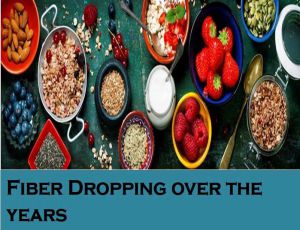 Class 6 Fibre To Fabric - Fact