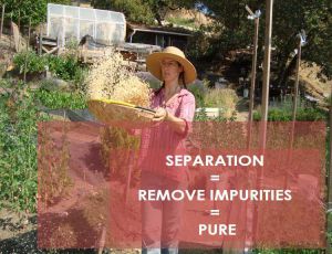 Class 9 Is Matter Around Us Pure - Fact