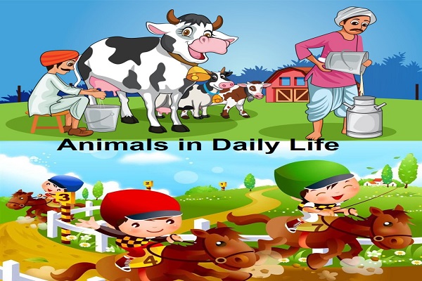 Example of Animals in daily life for Class 1