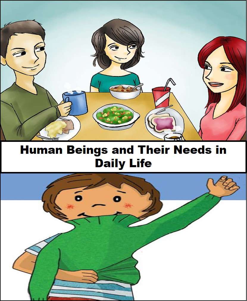 Example of Human Being and Their Needs in daily life for Class 1
