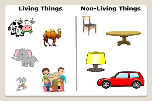 Example of Living & Non-Living Things in daily life for Class 1