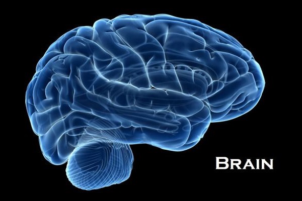 Example of Human Body in daily life for Class 2