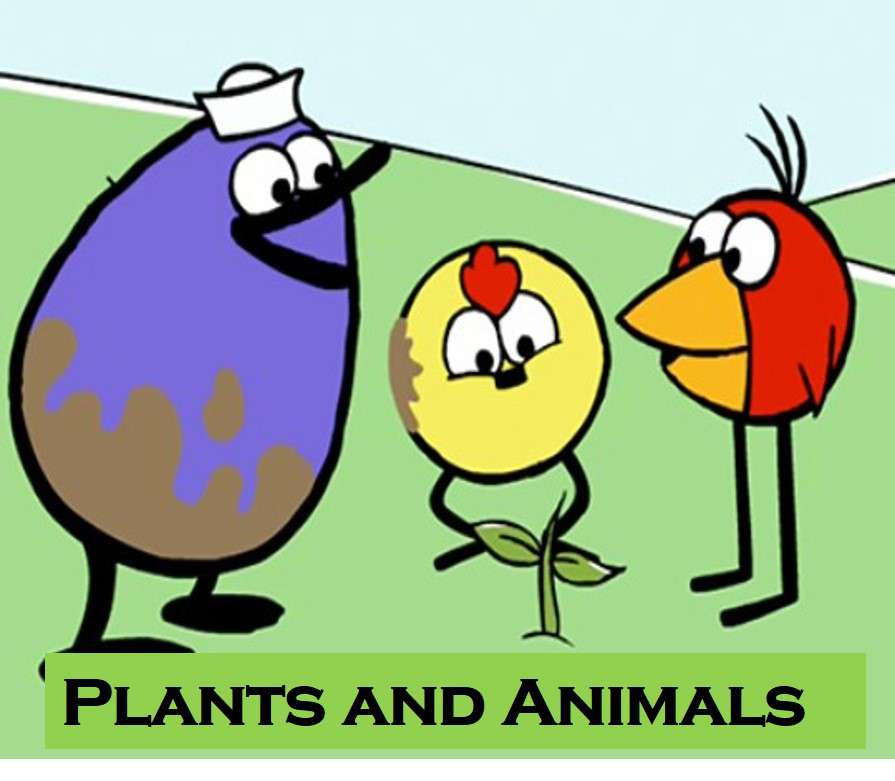 Example of Plants and Animals in daily life for Class 3