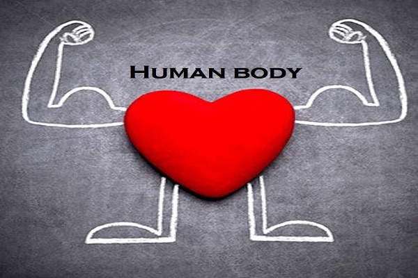 Example of Human body in daily life for Class 3