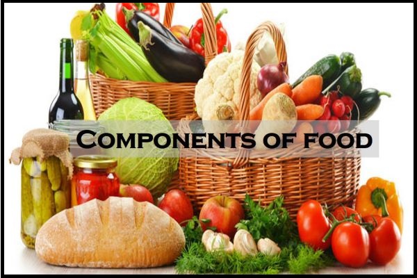 Example of Components of food in daily life for Class 6