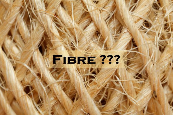 Example of Fibre to Fabric in daily life for Class 6
