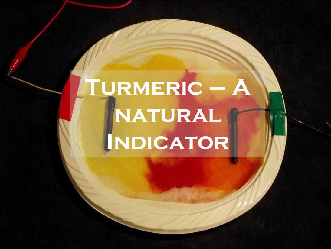 Example of Acids, Bases and Salts in daily life for Class 7