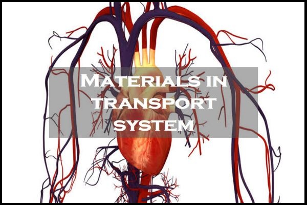 Example of Transportation in Plants and Animals in daily life for Class 7