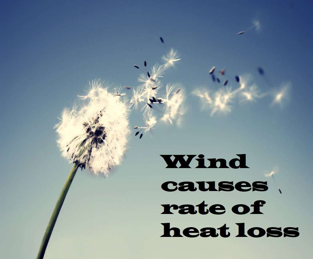 Example of Winds, Storms and Cyclones in daily life for Class 7