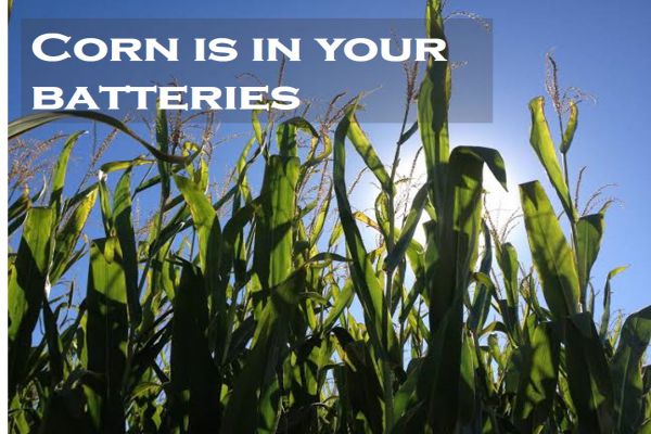 Example of Crop Production and Management in daily life for Class 8