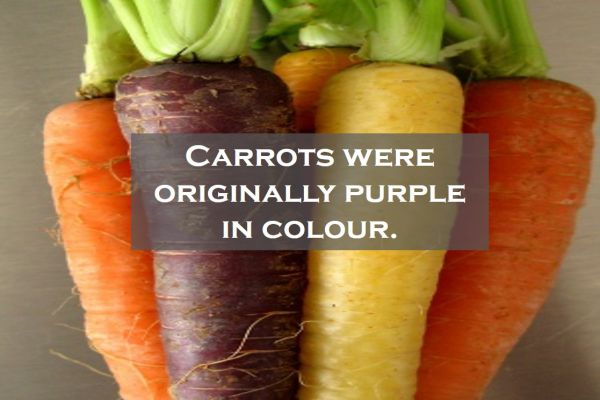 Example of Improvement in Food Resources in daily life for Class 9