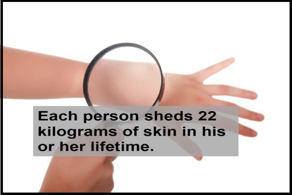 Example of Why Do We Fall Ill? in daily life for Class 9