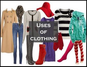 Example of Housing and Clothing in daily life for Class 2