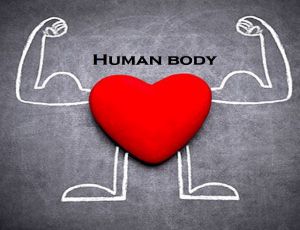 Example of Human body in daily life for Class 3