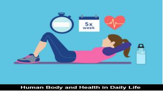 Example of Human Body and Health in daily life for Class 4