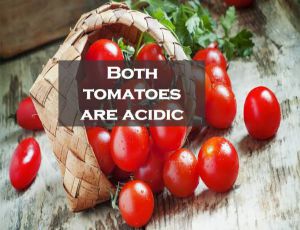 Example of Reproduction in Animals in daily life for Class 8