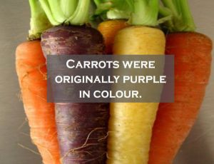 Example of Improvement in Food Resources in daily life for Class 9