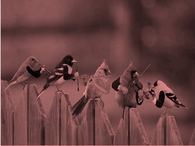 Science Class 1 Animals