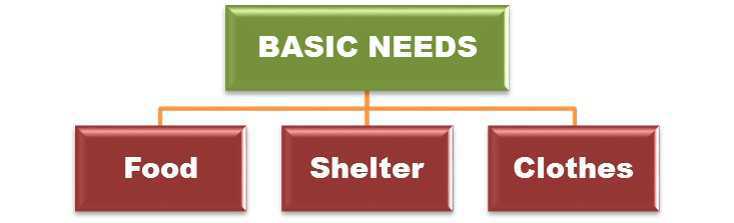 Science Class 1 Human Beings and Their Needs