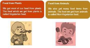 Science Class 1 Human Beings and Their Needs