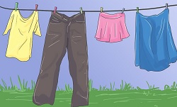 Science Class 1 Human Beings and Their Needs