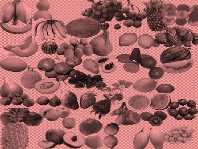 Science Class 1 Plants