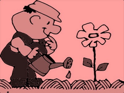 Science Class 1 Plants