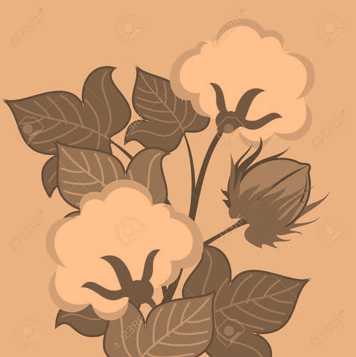 Science Class 2 Plants