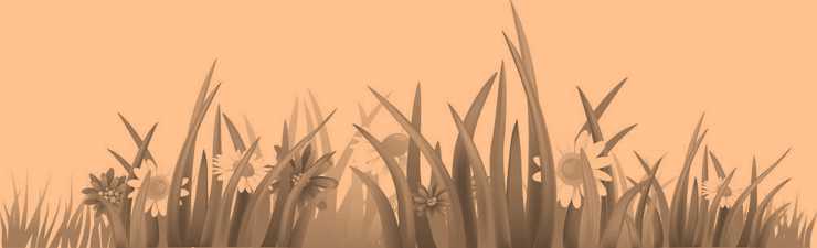 Science Class 2 Plants