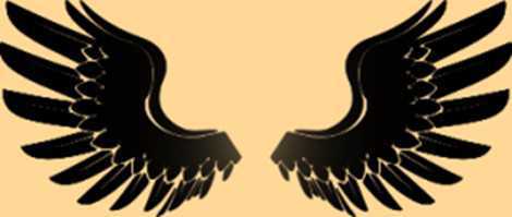 Science Class 3 Birds