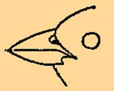 Science Class 3 Birds