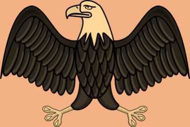 Science Class 3 Birds