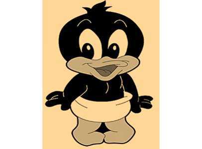 Science Class 3 Birds