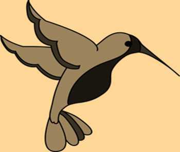 Science Class 3 Birds