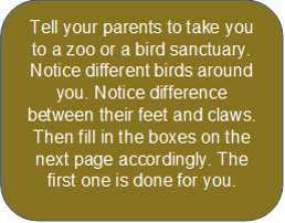 Science Class 3 Birds