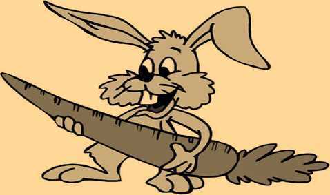 Science Class 3 Food