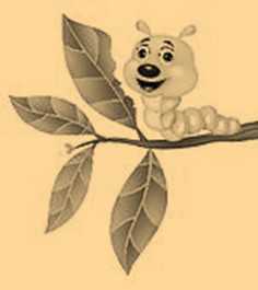 Science Class 3 Housing and Clothing